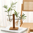 Vaso de vidro para plantas hidropônicas, recipiente para plantas de mesa, vaso de madeira com suporte para plantas, vaso para plantio de bulbos em água, propagação de flores.