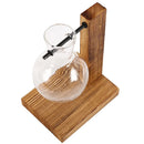 Vaso de vidro para plantas hidropônicas, recipiente para plantas de mesa, vaso de madeira com suporte para plantas, vaso para plantio de bulbos em água, propagação de flores.