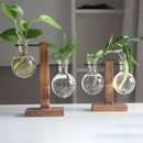 Vaso de vidro para plantas hidropônicas, recipiente para plantas de mesa, vaso de madeira com suporte para plantas, vaso para plantio de bulbos em água, propagação de flores.