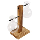Vaso de vidro para plantas hidropônicas, recipiente para plantas de mesa, vaso de madeira com suporte para plantas, vaso para plantio de bulbos em água, propagação de flores.