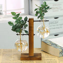 Vaso de vidro para plantas hidropônicas, recipiente para plantas de mesa, vaso de madeira com suporte para plantas, vaso para plantio de bulbos em água, propagação de flores.