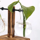 Vaso de vidro para plantas hidropônicas, recipiente para plantas de mesa, vaso de madeira com suporte para plantas, vaso para plantio de bulbos em água, propagação de flores.