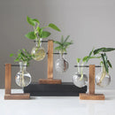 Vaso de vidro para plantas hidropônicas, recipiente para plantas de mesa, vaso de madeira com suporte para plantas, vaso para plantio de bulbos em água, propagação de flores.