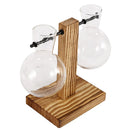 Vaso de vidro para plantas hidropônicas, recipiente para plantas de mesa, vaso de madeira com suporte para plantas, vaso para plantio de bulbos em água, propagação de flores.